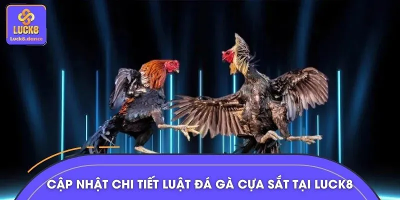 Luật đá gà chi tiết dành cho người mới tham gia