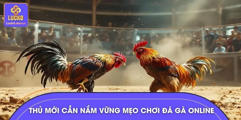 Giá trị thực tiễn khi áp dụng mẹo chơi đá gà online